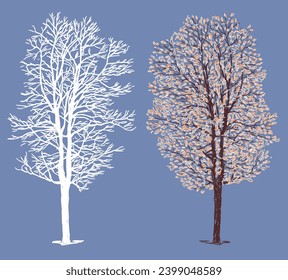 Hand drawing of deciduous tree in winter season