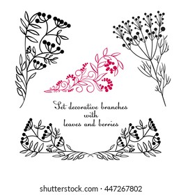 Hand drawing decorative floral elements. Vector illustration. White and black