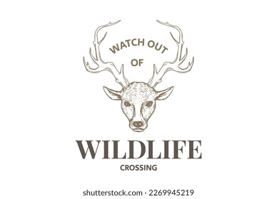 hand drawing deer head logo illustration.