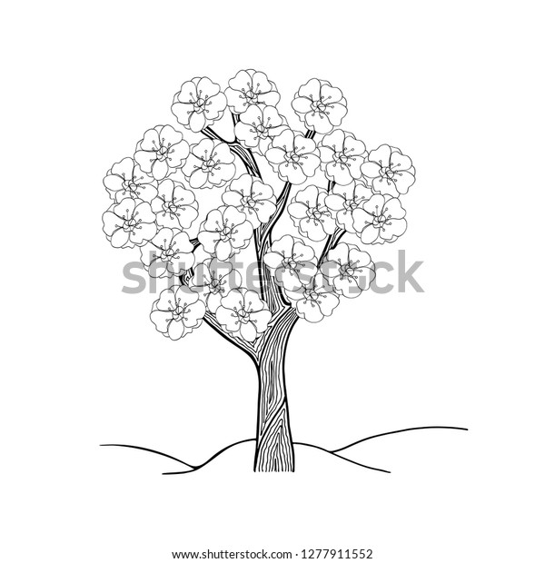 Step By Step Blossom Tree Drawing