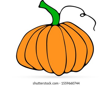 hand drawing doodle pumpkin icon, halloween symbol, food vector illustration