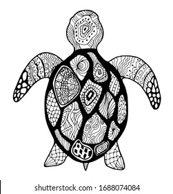 Turtle Drawing High Res Stock Images Shutterstock