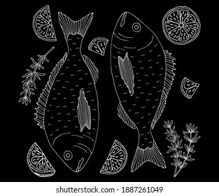 Hand drawing of dorado fish with lemon and spices. White contour on black background. Cooking dish. Template for restaurant or cafe menu, card, promo, invitation, market or shop. Vector illustration.