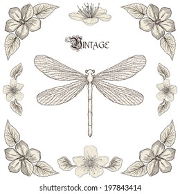 Hand drawing dragonfly flowers and leaves decorative floral frame Vintage engraving style