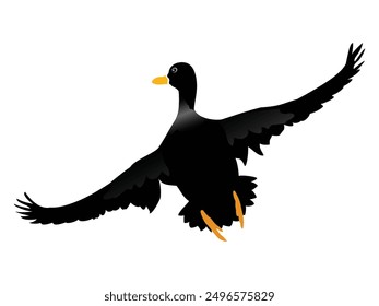 Hand drawing duck animal silhouettes design