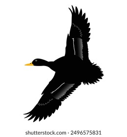 Hand drawing duck animal silhouettes design
