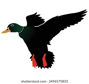 Hand drawing duck animal silhouettes design