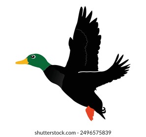 Hand drawing duck animal silhouettes design