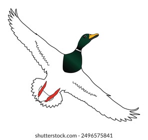 Hand drawing duck animal silhouettes design