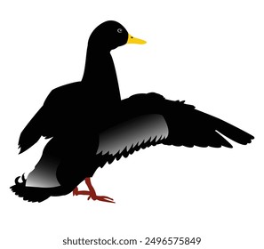 Hand drawing duck animal silhouettes design