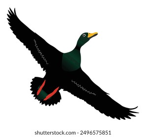 Hand drawing duck animal silhouettes design