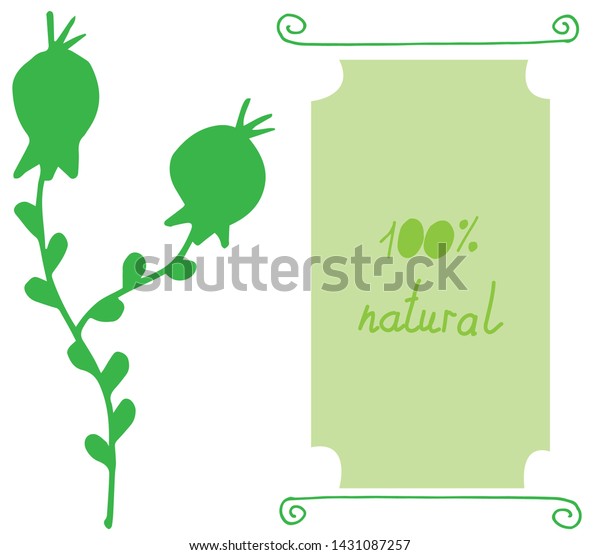 hand drawing eco and nature poster\
with plants and template. vector doodle\
illustration