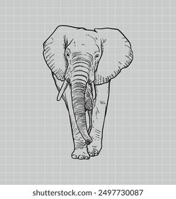 Hand drawing elephant. African Elephant. Baby Elephant. Elephant vector editable color