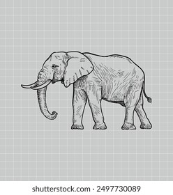 Hand drawing elephant. African Elephant. Baby Elephant. Elephant vector editable color