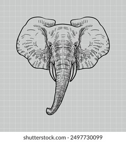 Hand drawing elephant. African Elephant. Baby Elephant. Elephant vector editable color