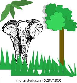 Hand drawing of an elephant. Sketch and a papercraft. Vector illustration.