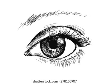 53,354 Sketch Vision Images, Stock Photos & Vectors | Shutterstock