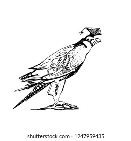 Hand drawing a falcon in the master's cap design element funny