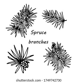 Hand drawing, fir branch with cones, different angles, black and white, doodle, sketch, vector illustration