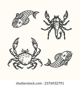 Hand drawing fish Crab flat style vector illustration isolated on off white background