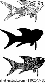 Hand drawing fish graphic design vector art