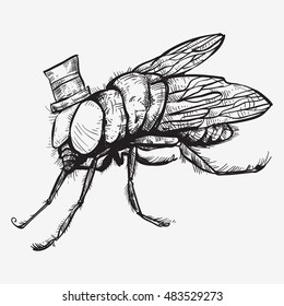 hand drawing a flies with hat on its head line art 