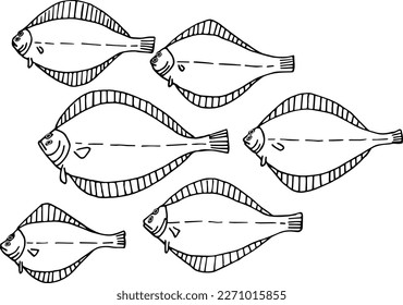 Hand drawing a lot of flounder fish. Vector illustration. A simple drawing of a fish. Fish day.