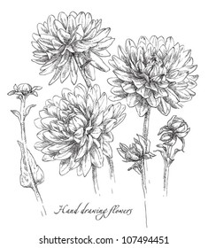 Hand drawing flower