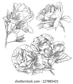 Hand drawing flower