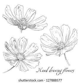 Hand drawing flower