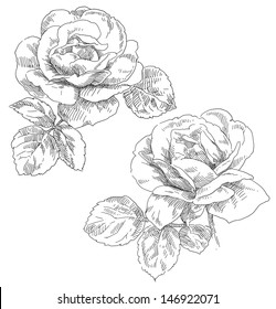 Hand drawing flower blossom