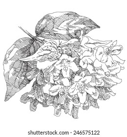 Hand drawing flower blossom