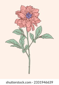 Hand drawing flower illustration with detailed line art