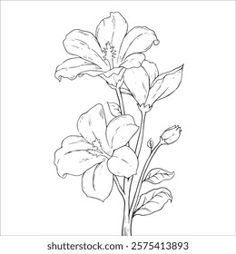 Hand drawing flower line art 