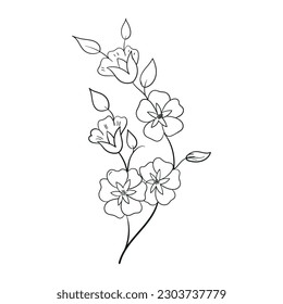 Hand drawing Flower Outline Vector Illustration