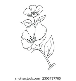 Hand drawing Flower Outline Vector Illustration