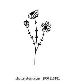 Flor de dibujo manual. Perfecto para invitaciones de boda, tarjetas de felicitación, blogs. Ilustración vectorial aislada en blanco.