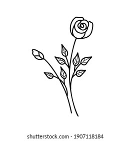 Hand drawing flower. Rose.Perfect for wedding invitations, greeting cards, blogs. Vector illustration isolated on white.