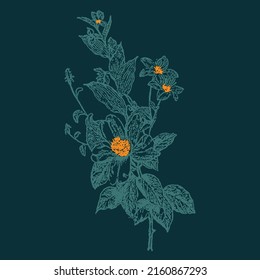 hand drawing flower vector design, women's print design
