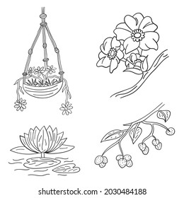 Hand drawing Flowers bouquet Collection coloring page for kids Vector. House plants in pots in black and white