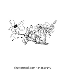 Hand drawing flowers.Vector illustration. 