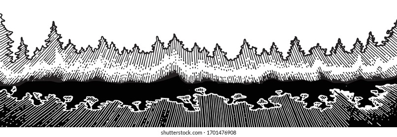 Hand drawing of the forest. Vector isolated illustration. Conifers: Christmas trees, spruce, fir, pine on the shore of dark water. Dense impenetrable thickets of Taiga. Pencil, felt-tip pen, marker