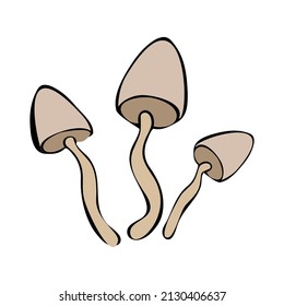 Hand drawing forest wild mushrooms. Can be used for menu design, label, badge, recipe, packaging.