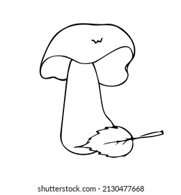 Hand drawing forest wild mushrooms. Can be used for menu design, label, badge, recipe, packaging.