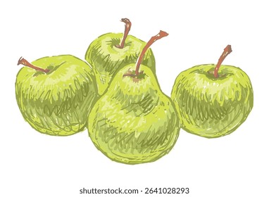 Hand drawing of four ripe yellow apples and pear, fresh fruit, vector illustration isolated on white