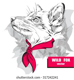 Hand Drawing Fox With A Pink Headscarf On The Neck. Vector Illustration