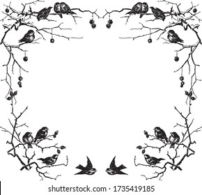 Hand drawing of frame from sparrows sitting on tree branches in winter season