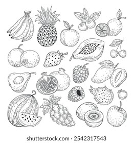 Hand drawing fruit collection, black and white fruit collection