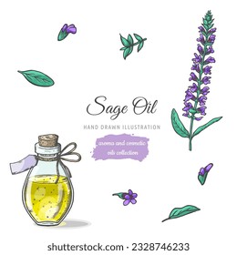 Hand drawing glass bottle of Sage oil and Sage flowers isolated on white background. Medicinal herb. Vector Illustration.