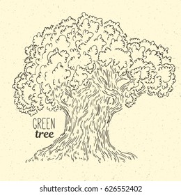 Hand drawing graphics doodle oak tree in simple logo 